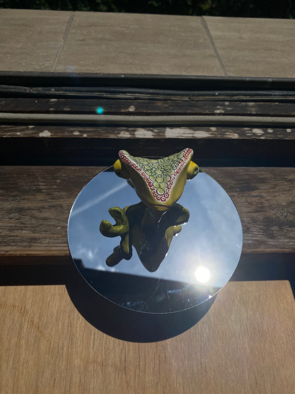 Randall Gandhi the Wise Know-It-All | Chameleon desk buddy figurine