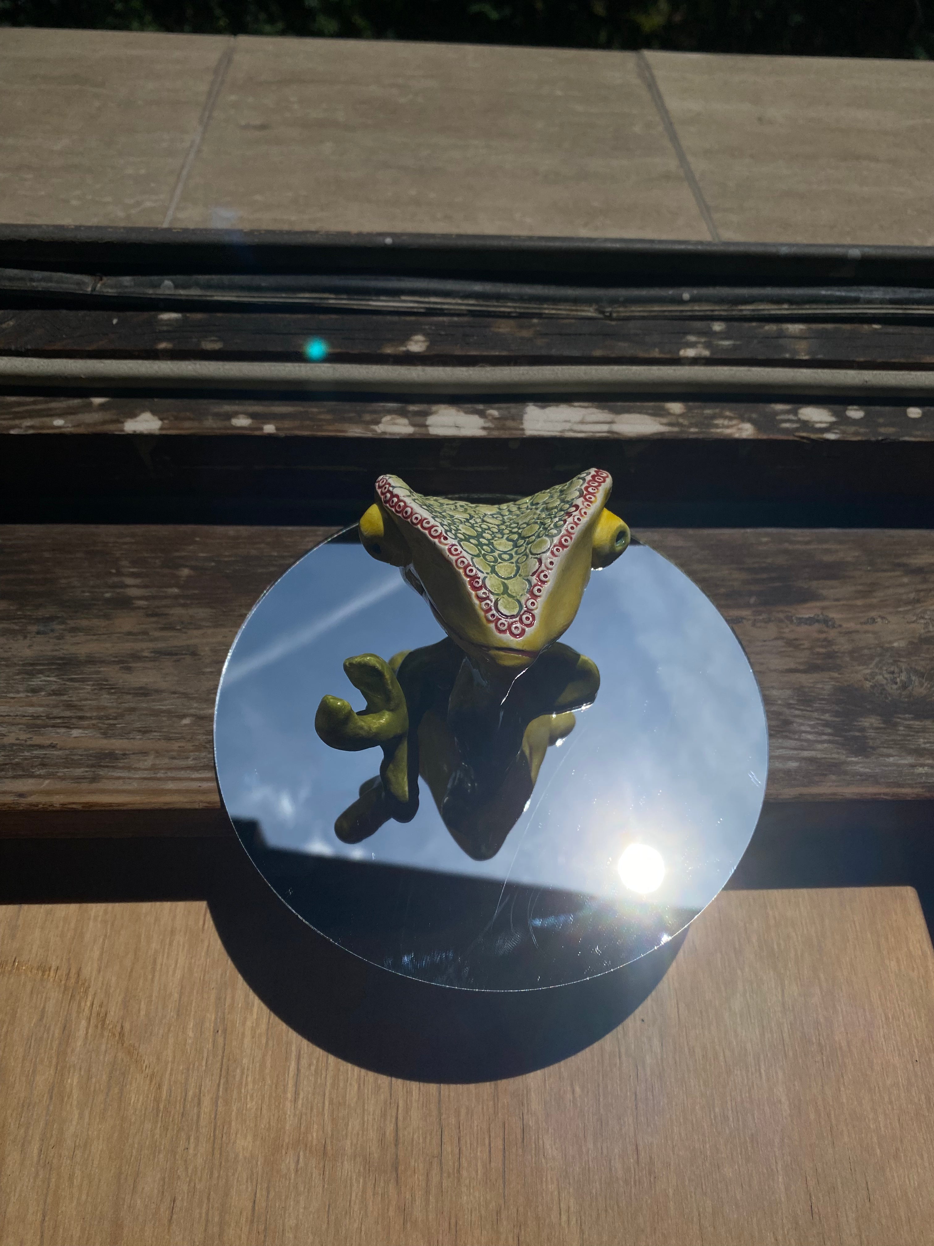 Randall Gandhi the Wise Know-It-All | Chameleon desk buddy figurine