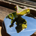 Randall Gandhi the Wise Know-It-All | Chameleon desk buddy figurine