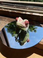 Randall Meloné the High Priestéss | Small chameleon desk buddy figurine