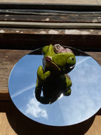 Randall Conté the Diva | Small chameleon desk buddy