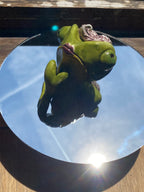 Randall Conté the Diva | Small chameleon desk buddy
