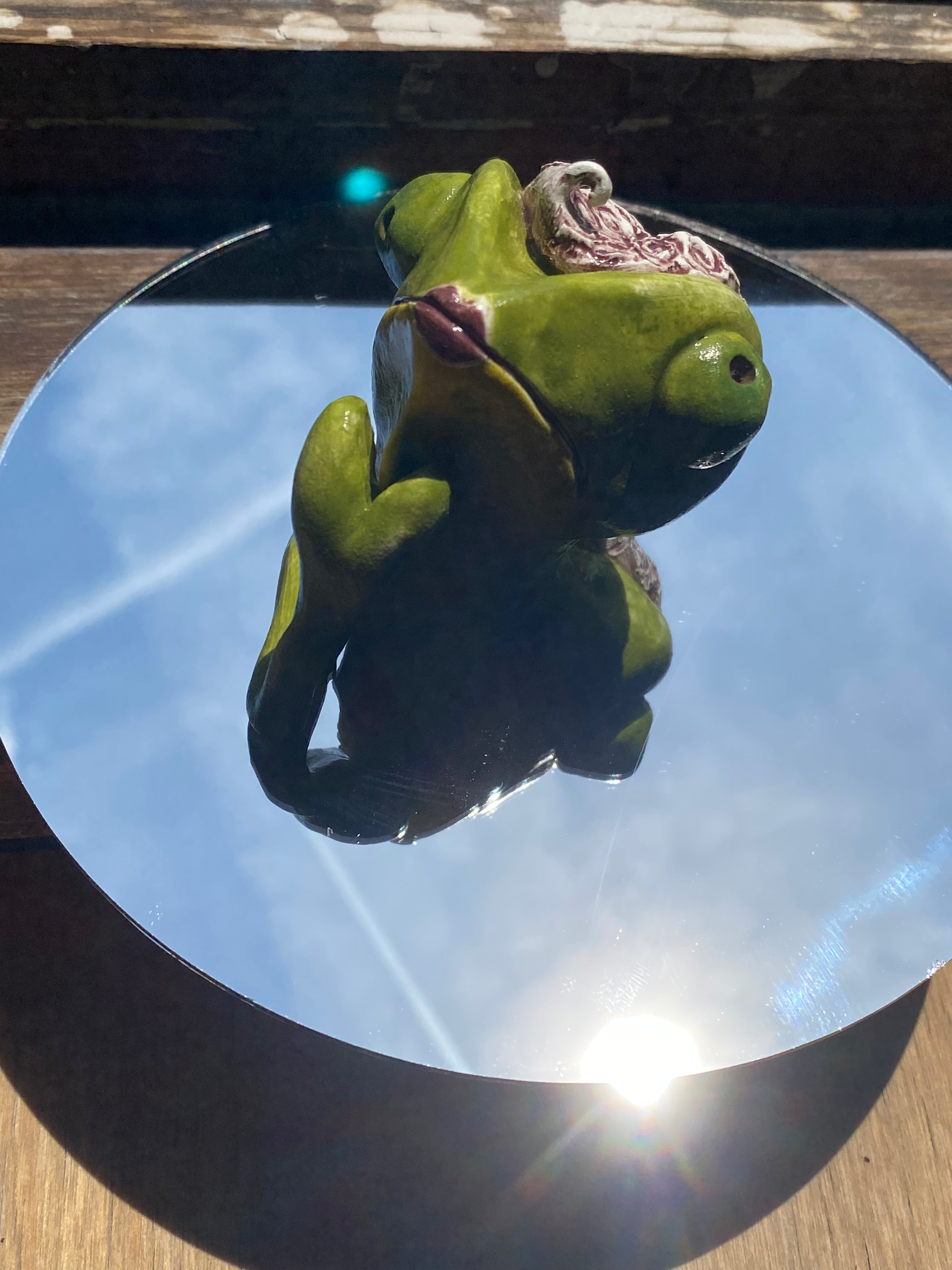 Randall Conté the Diva | Small chameleon desk buddy