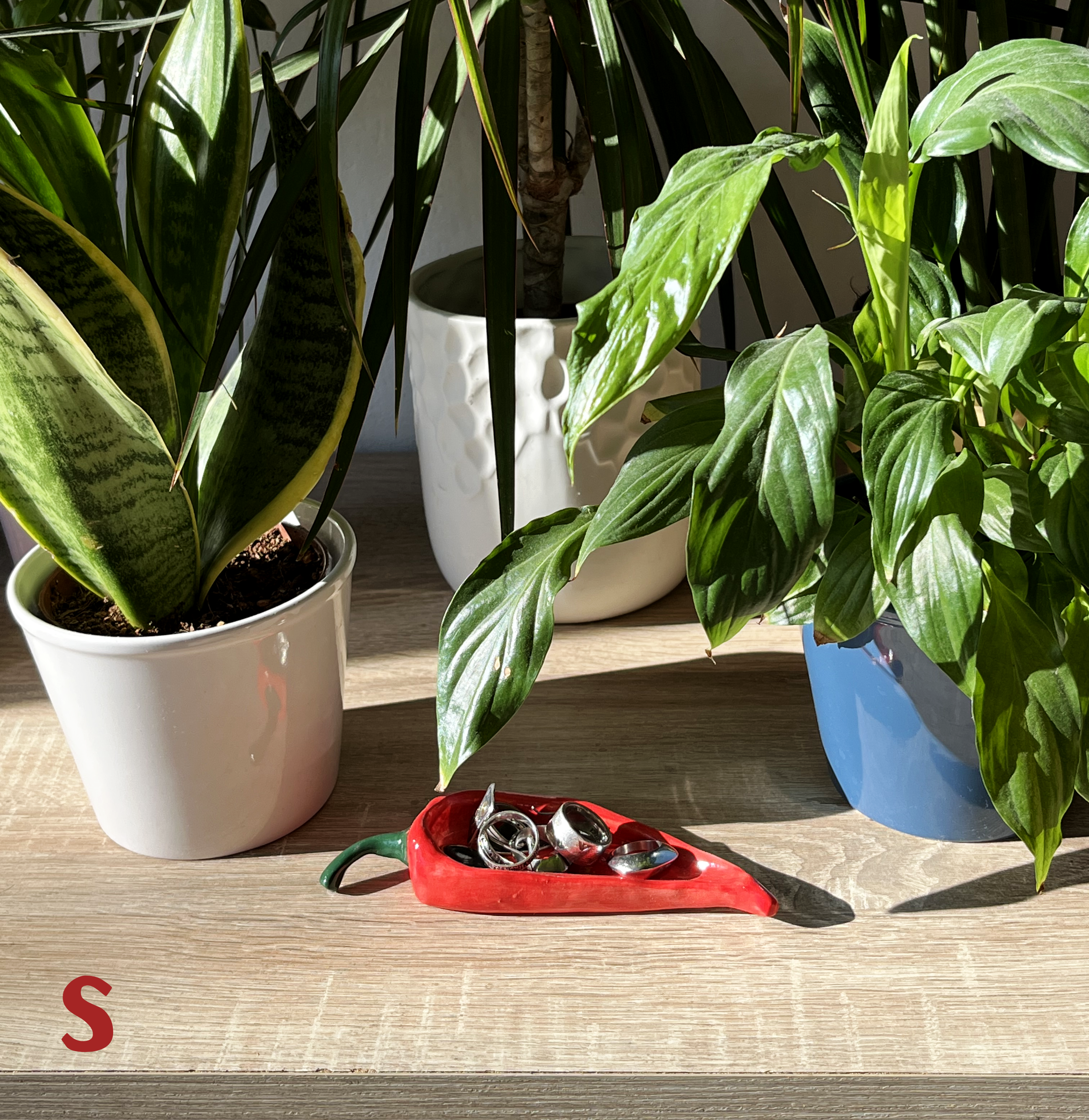 CHILLI catchall dish | Different sizes