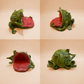 Frog catchall dish JUNGLE
