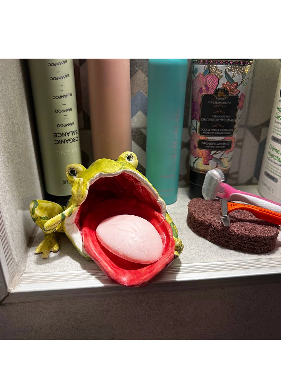 Frog catchall dish JUNGLE